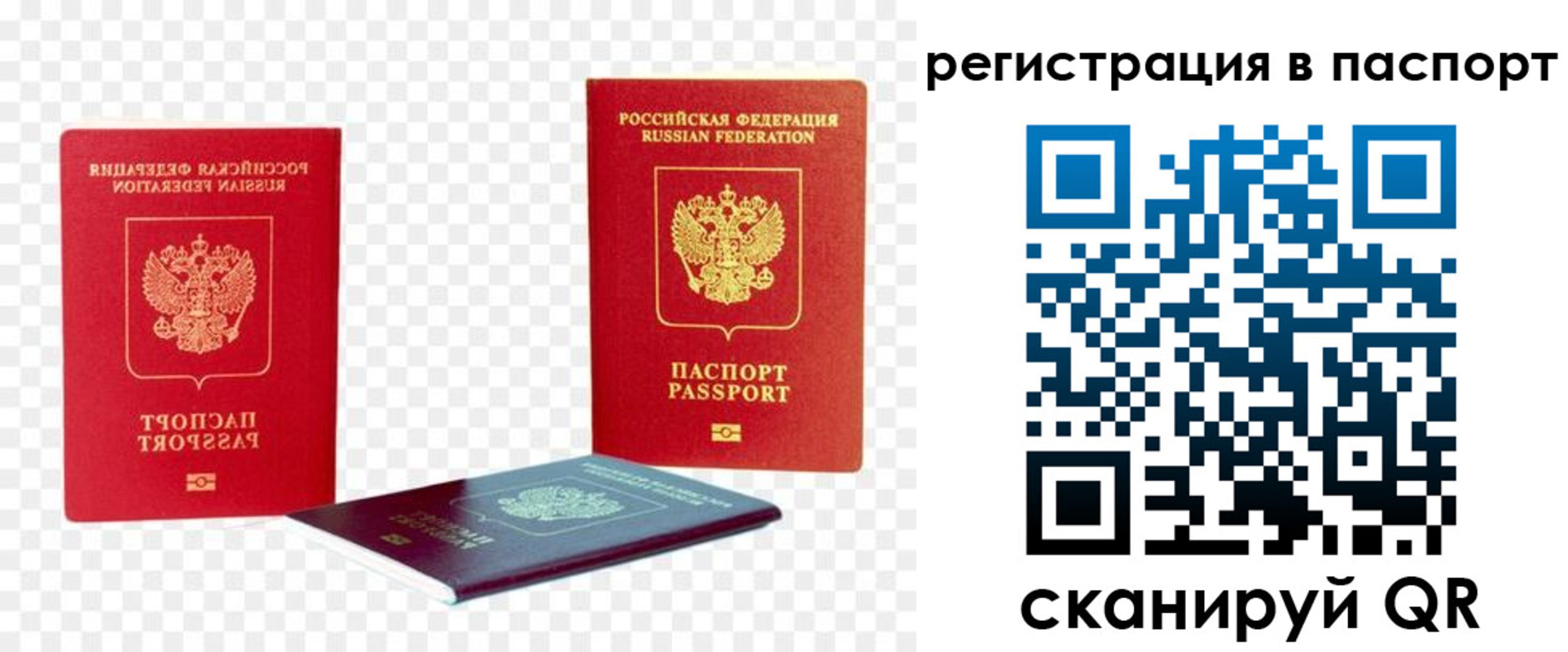 временная регистрация поиск в Заринске