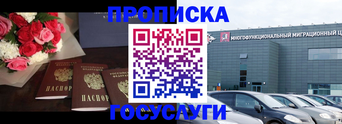 прописка законно в Заринске